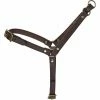 Filson Dog Harness -Filson Sales Store BN 2